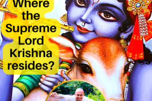 Where does the Supreme Lord Krishna resides (Instagram Post (45))